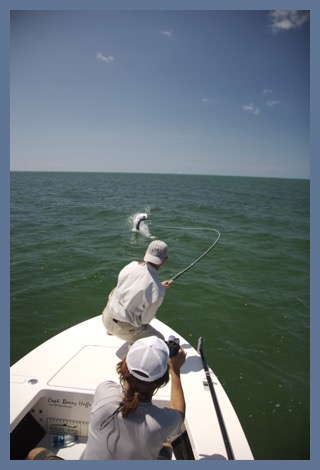 fighting a tarpon on a fly rod